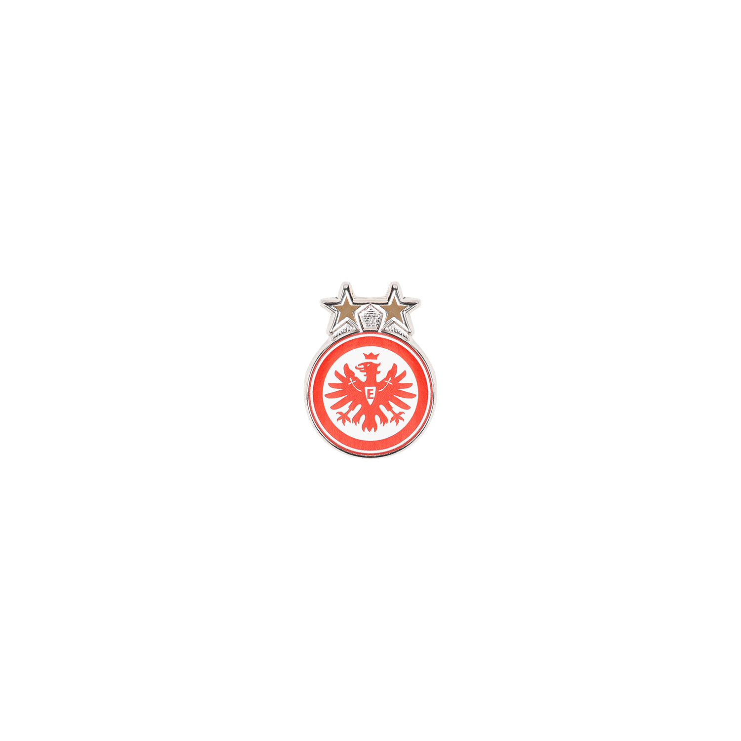 Bild 1: Pin Frauenmannschaft