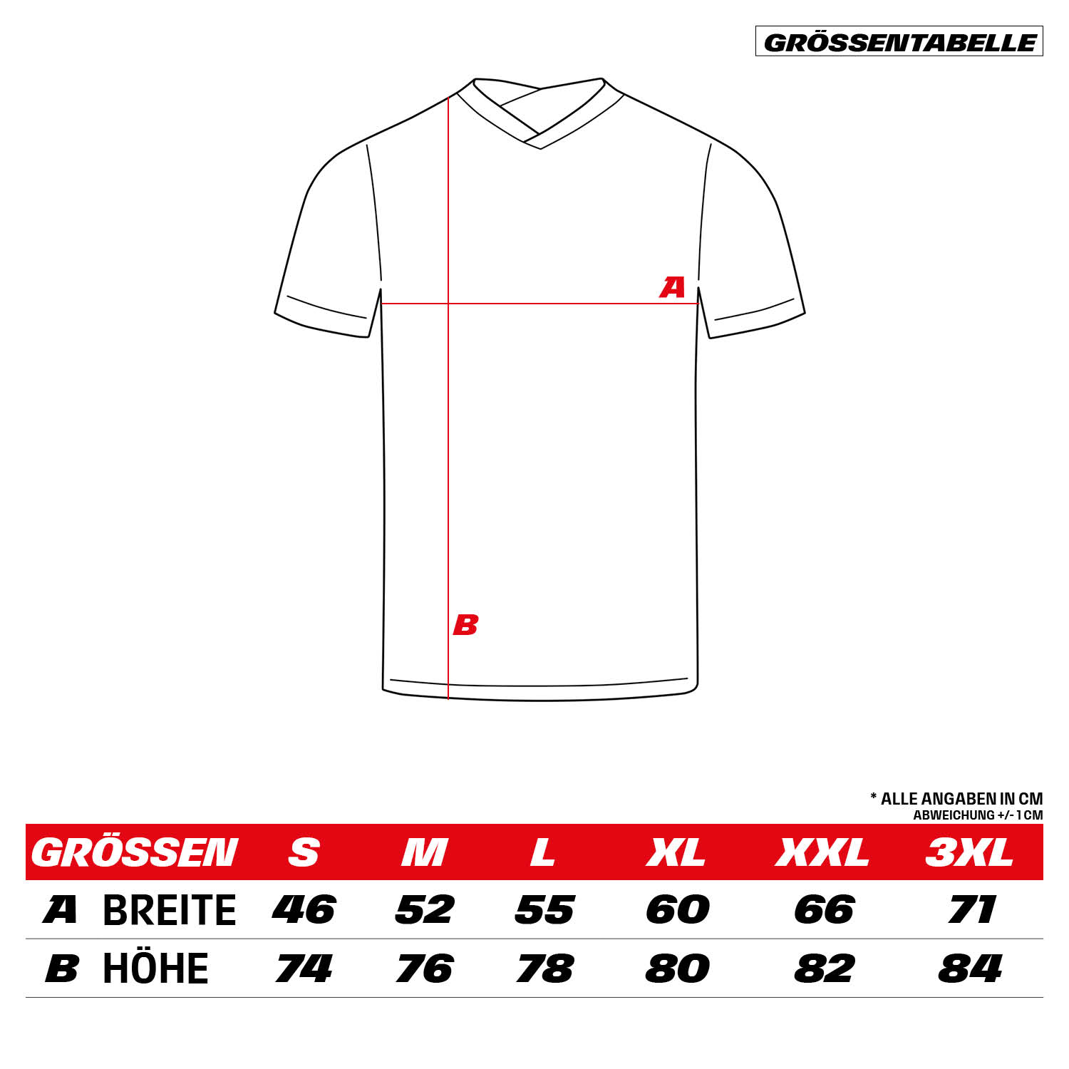 Bild 13: Trikot Ausweich 24