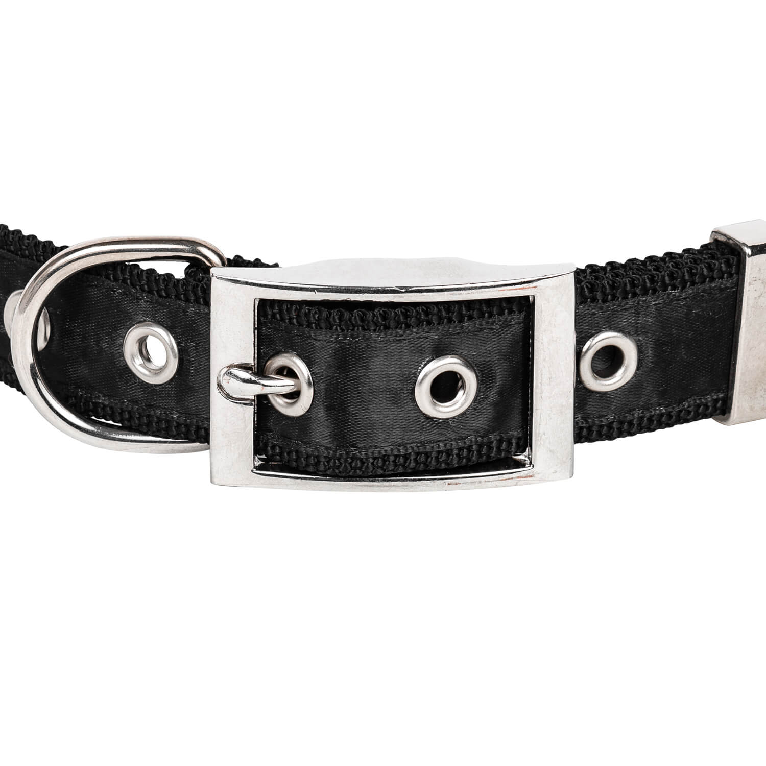 Bild 3: Dog Collar Out Of Love For You