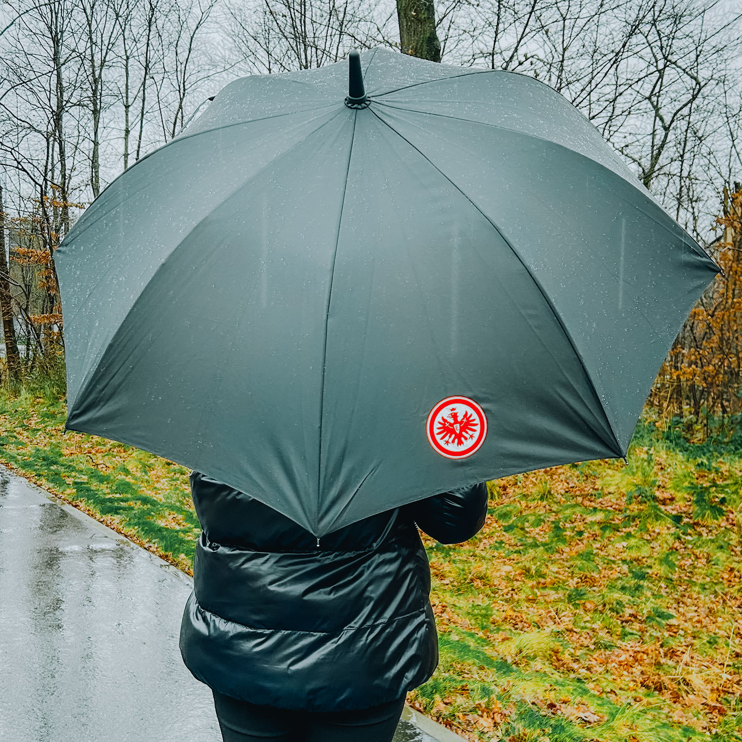 Bild 9: Eintracht Umbrella