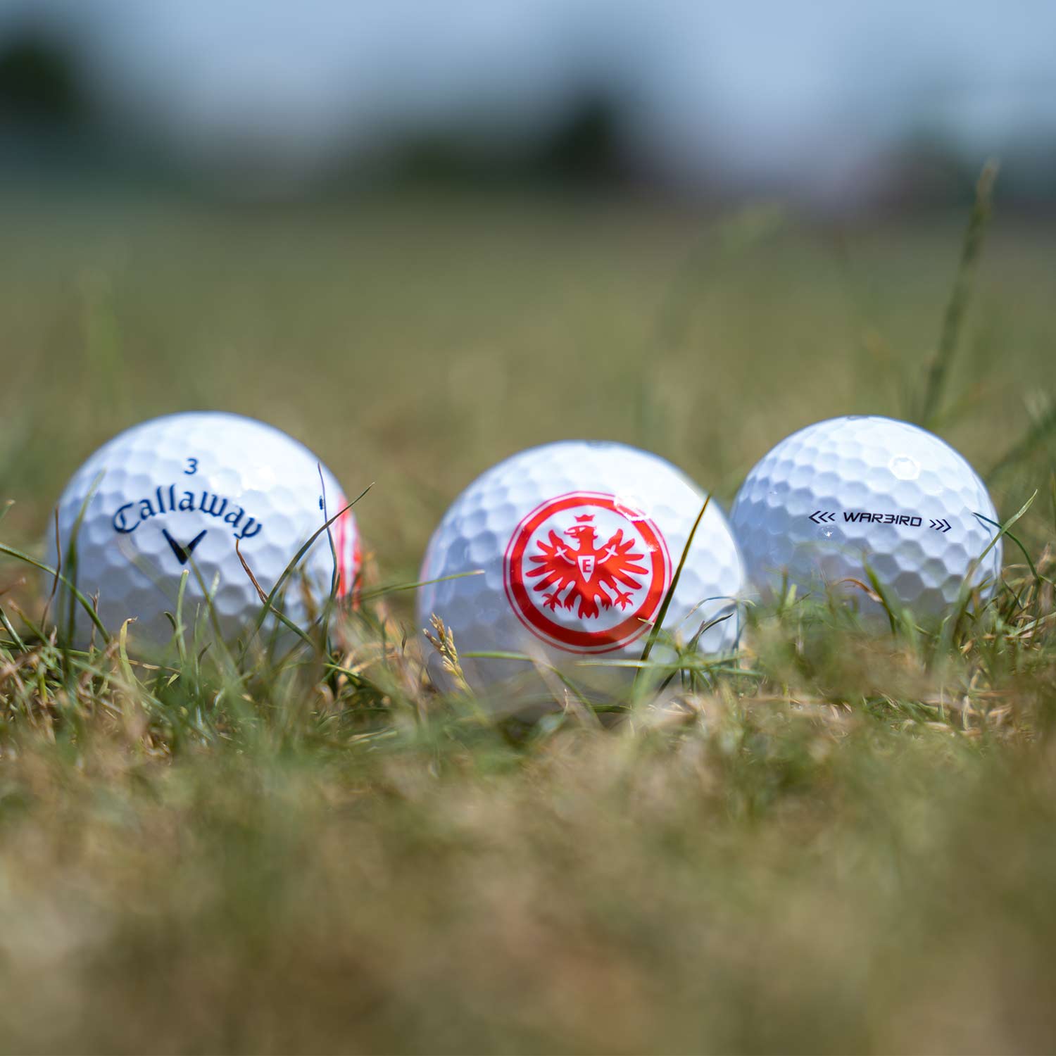 Bild 4: Golfbälle 3er Set