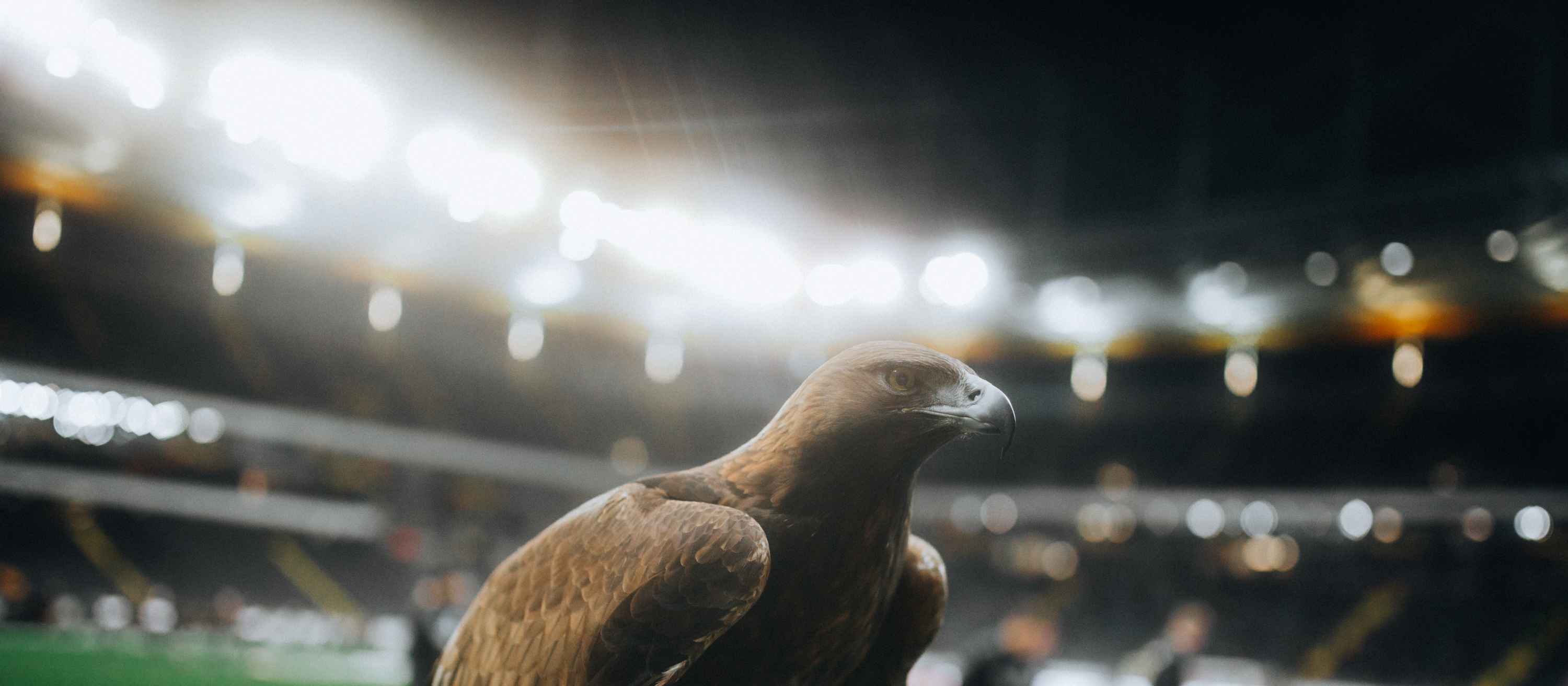 Attila - Eintracht Frankfurt Men