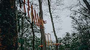 Kletterwald im Deutsche Bank Park - Kletterparcours zwischen den Bäumen im Stadtwald