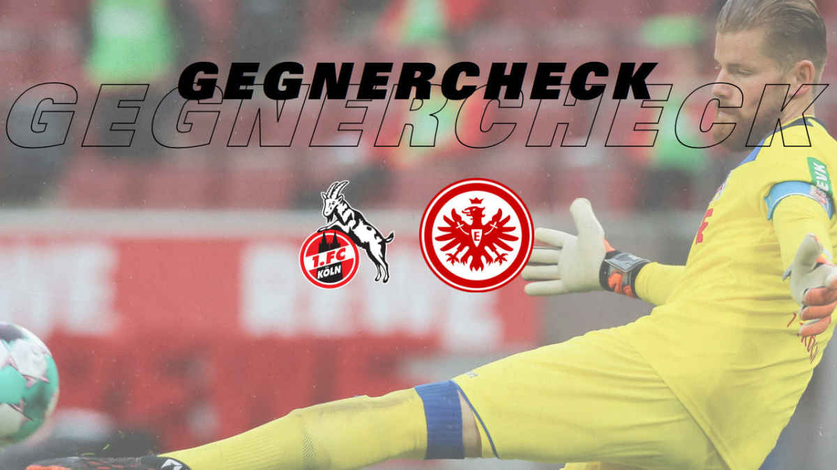 Tv Eintracht Frankfurt Eintrachttv