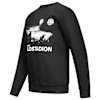 Bild 3: Sweater Waldstadion Flutlicht