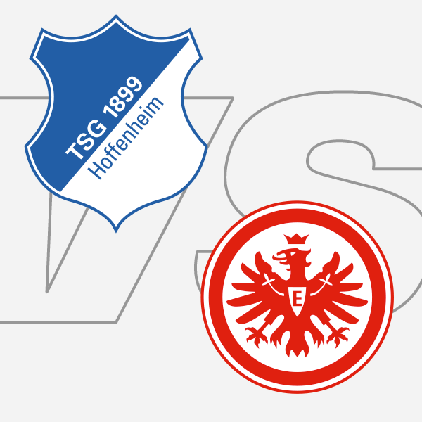 Infos und Tickets zum Spiel in Sinsheim Infos und Tickets zum Spiel in Sinsheim