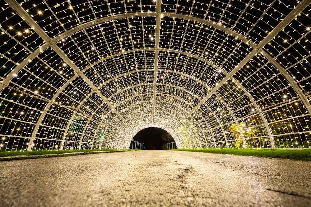 Bild 1: Der Christmas Garden lässt den Deutsche Bank Park wieder erstrahlen!
