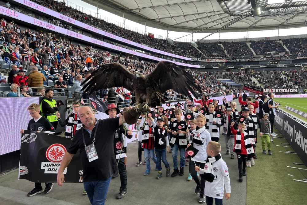 Stadionrunde gegen Dortmund Eintracht Frankfurt Fans