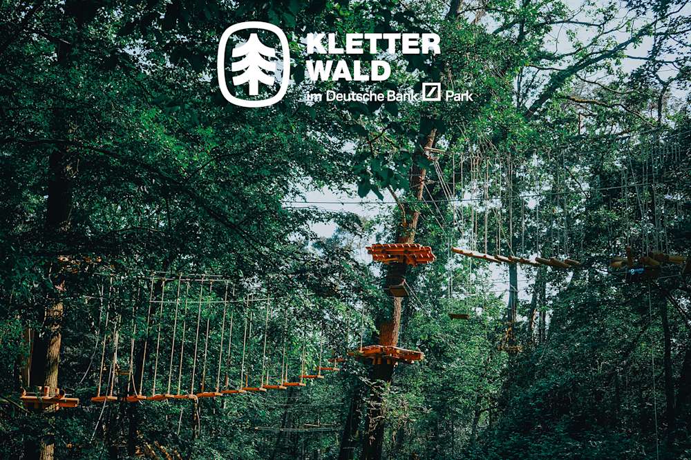 Kletterwald im Deutsche Bank Park - Kletterparcours zwischen den Bäumen im Stadtwald