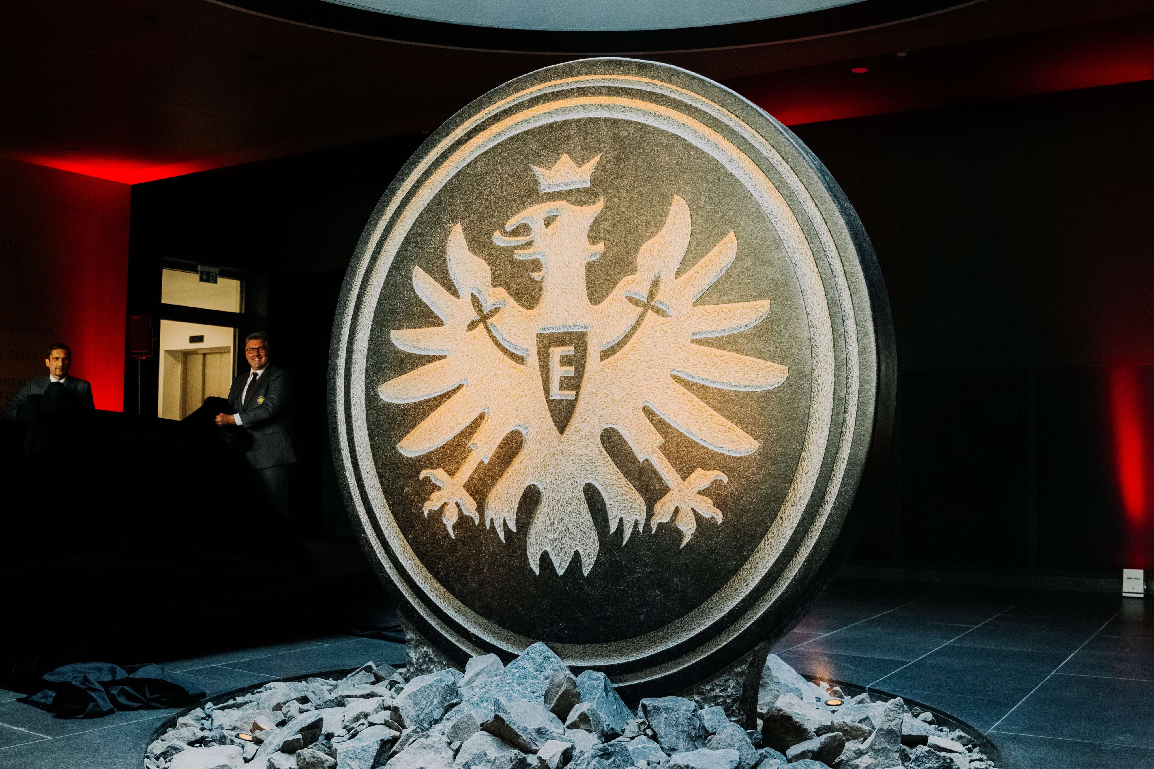 Der Steinadler Bild 1