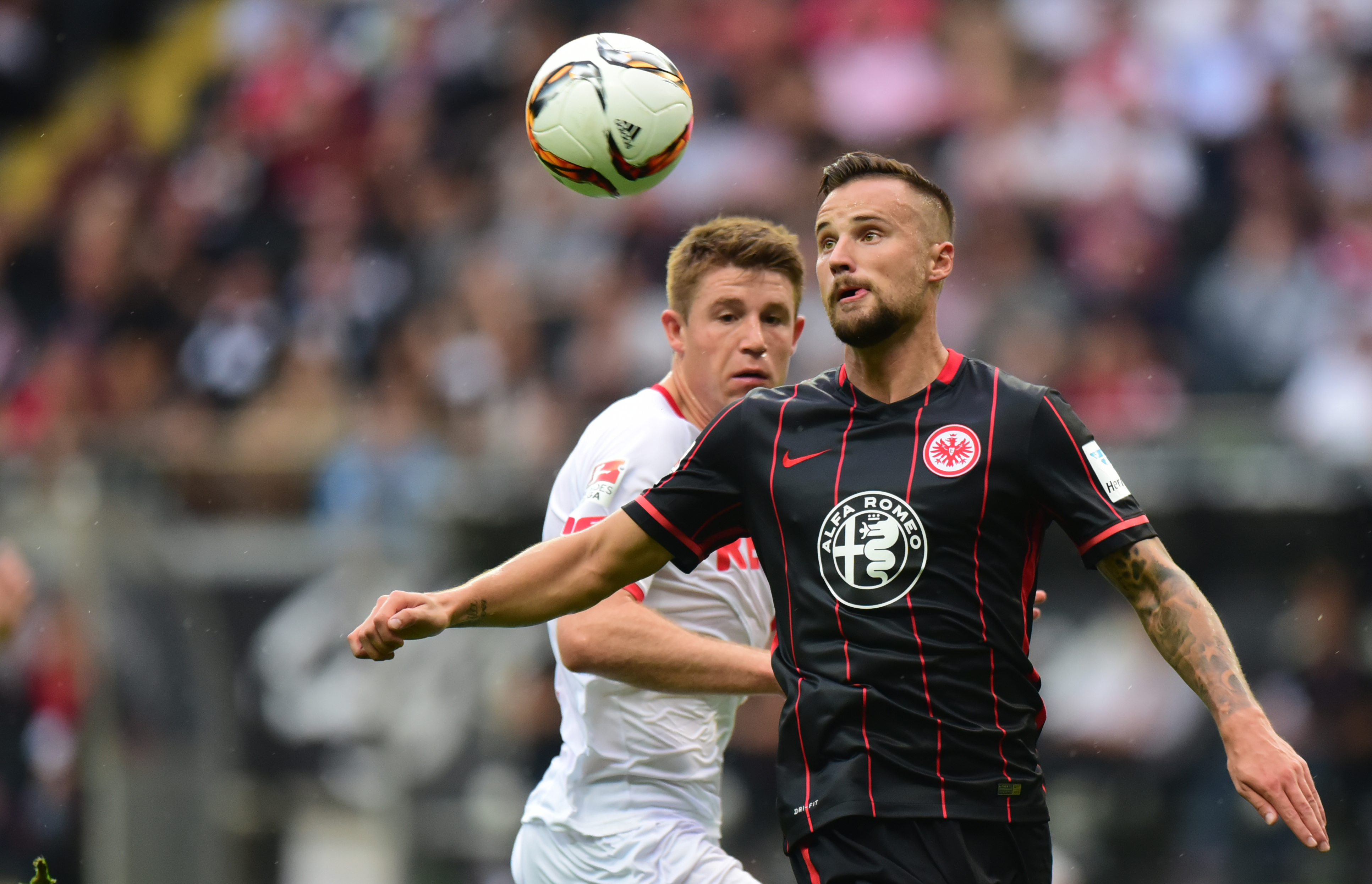 Eintracht Frankfurt International - Eintracht Frankfurt Profis