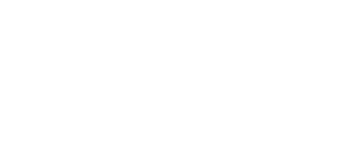 Partnerlogo HLi