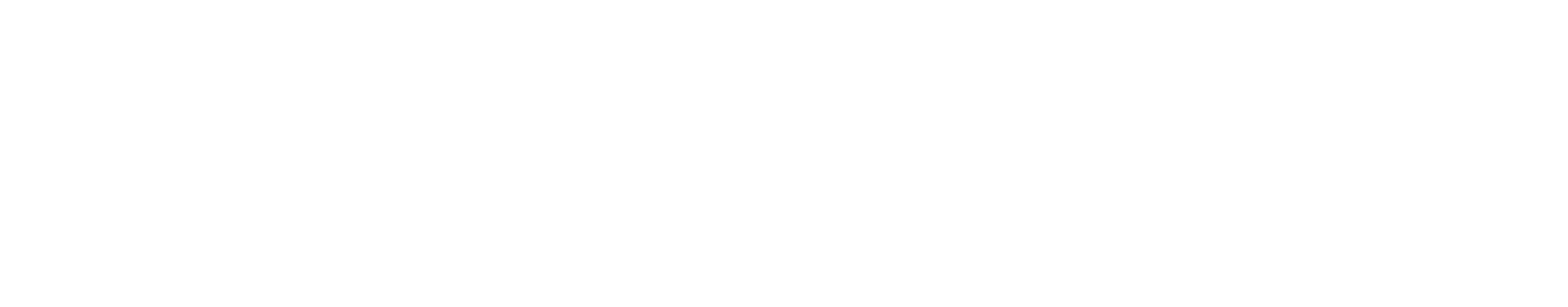 Partnerlogo Wertheim Village