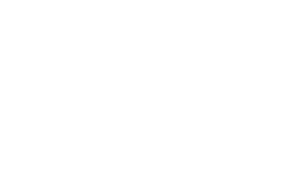 Partnerlogo Adidas