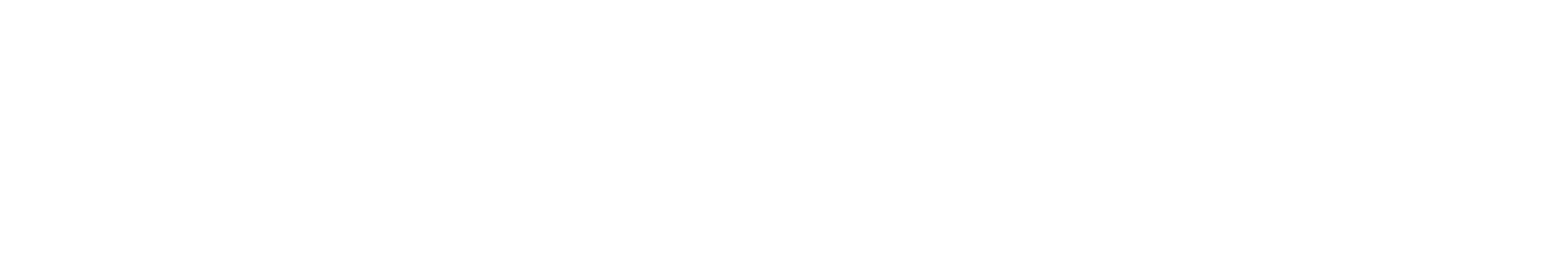 Partnerlogo Deutsche Dienstrad