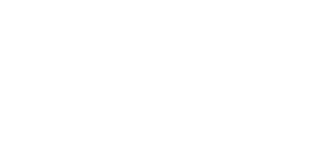 Partnerlogo pwc